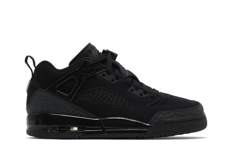 

Кроссовки Jordan Spizike Low GS, цвет Black Cat