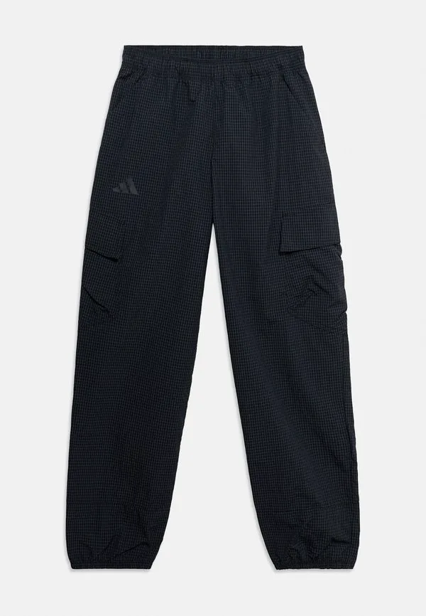 Брюки-Карго Adidas Terrex, Black