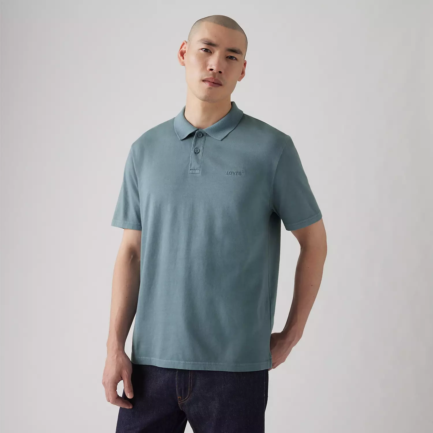 

Настоящая рубашка поло Levi's, цвет Garment Dye Steam Bl - Blue