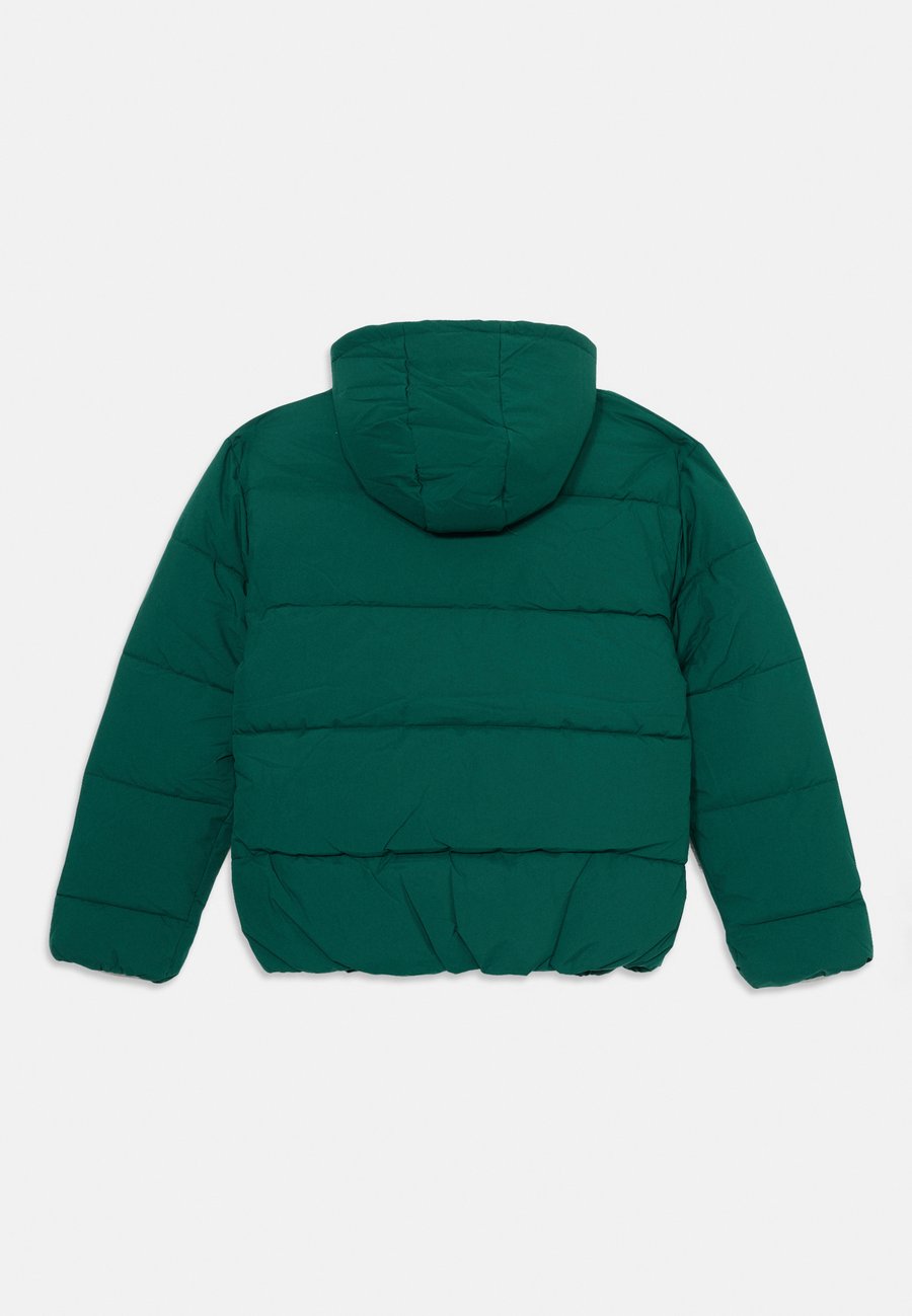 Зимняя куртка Ellesse MITE PADDED JACKET UNISEX, Dark Green — фото 2