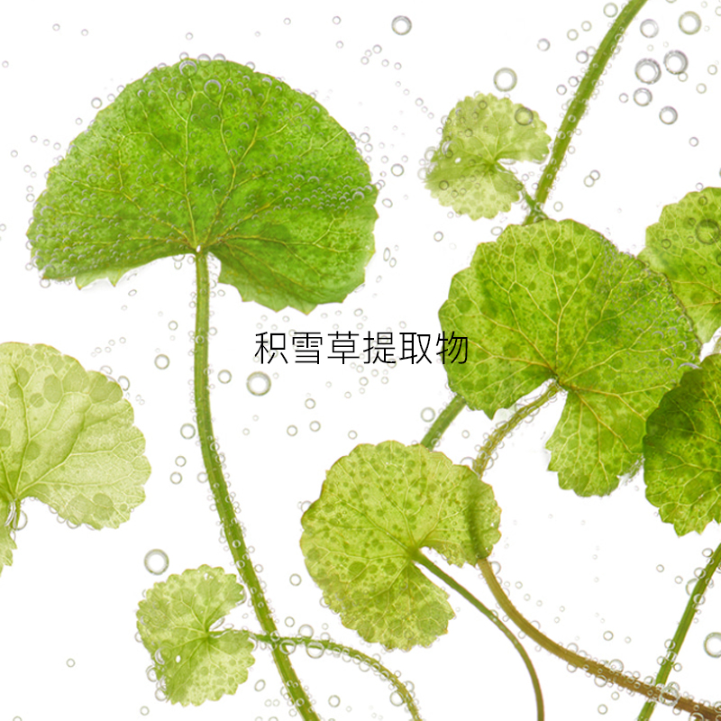 Крем для лица Cell Fusion C — Увлажняющий Centella Soothing Hydrating Face Cream успокаивающий освежающий / *, 50 мл — фото 3