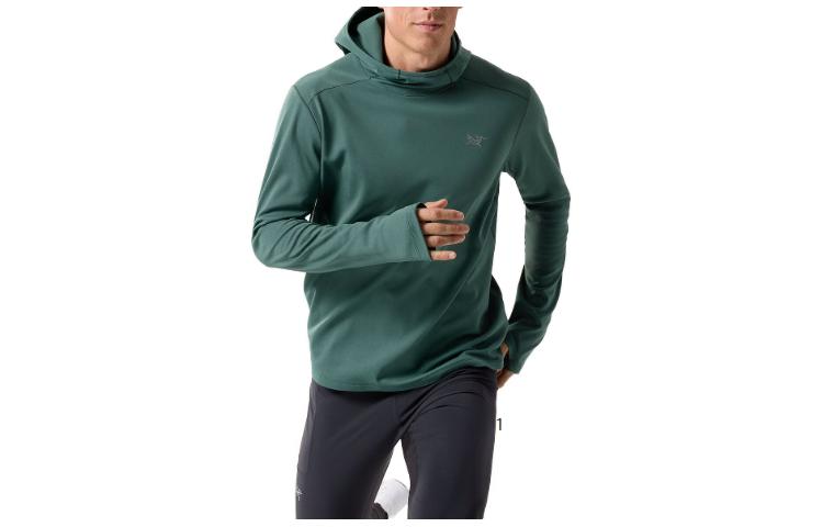 

Мужская толстовка Cormac Heavyweight Arcteryx, Phantasm Purple/Phantasm