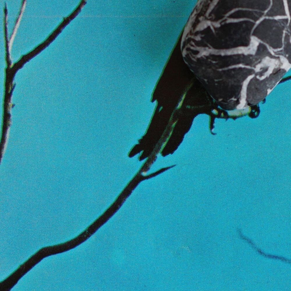 

Диск CD Stateless - Tangents