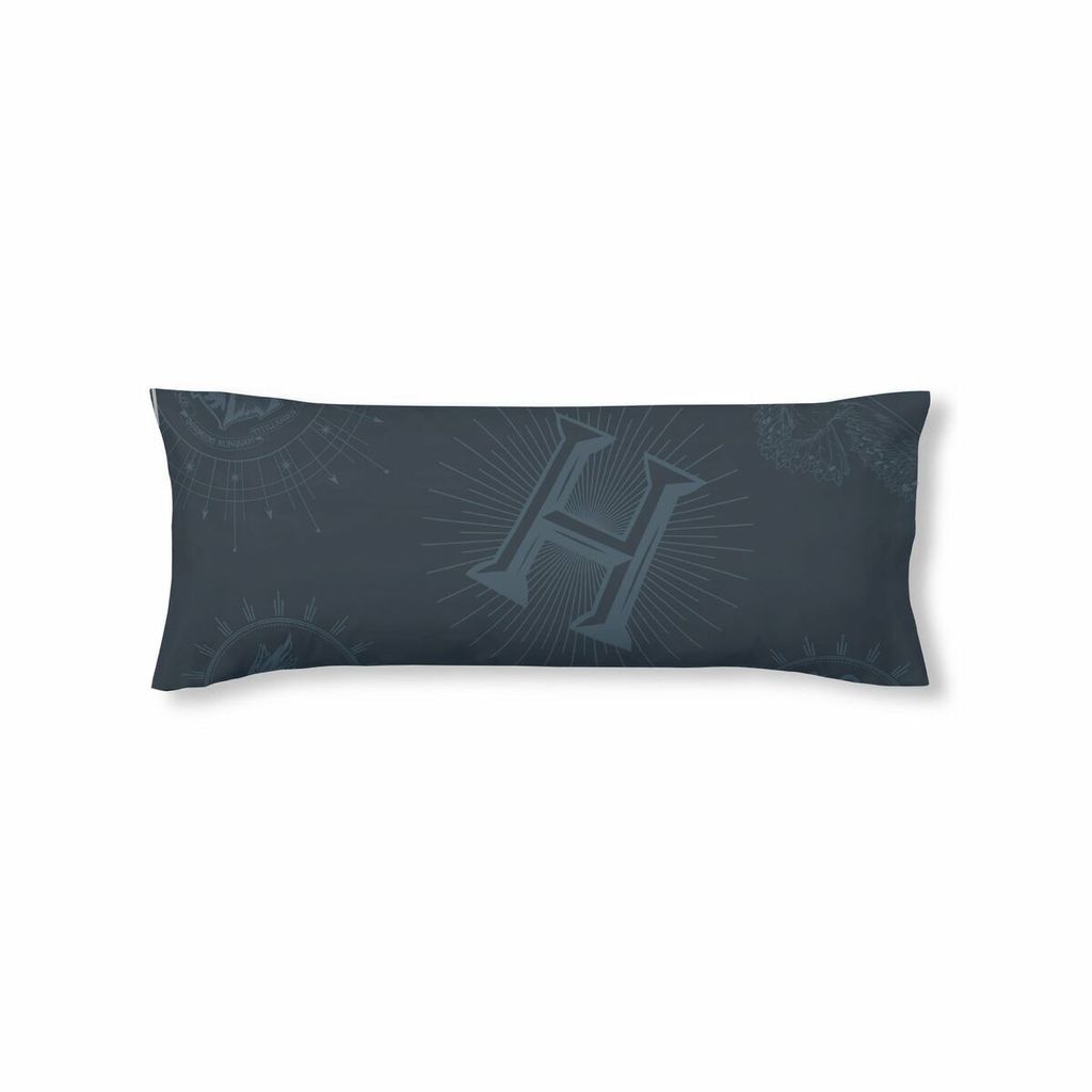 

Чехол на подушку Harry Potter Dormiens Draco Blue Navy Blue 45 x 110 см Harry Potter Shop