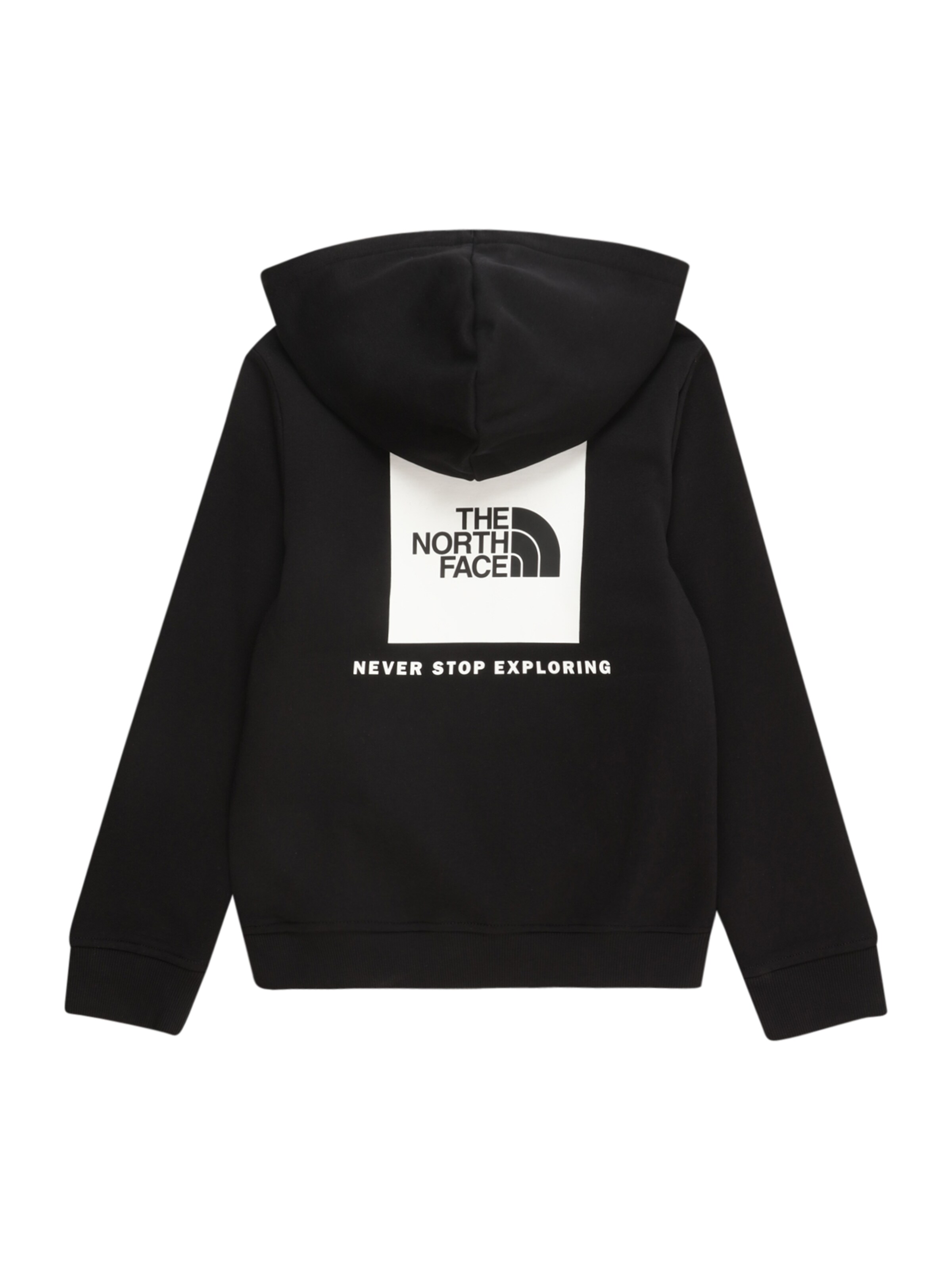 THE NORTH FACE Спортивная толстовка 'REDBOX' в черном цвете — фото 2