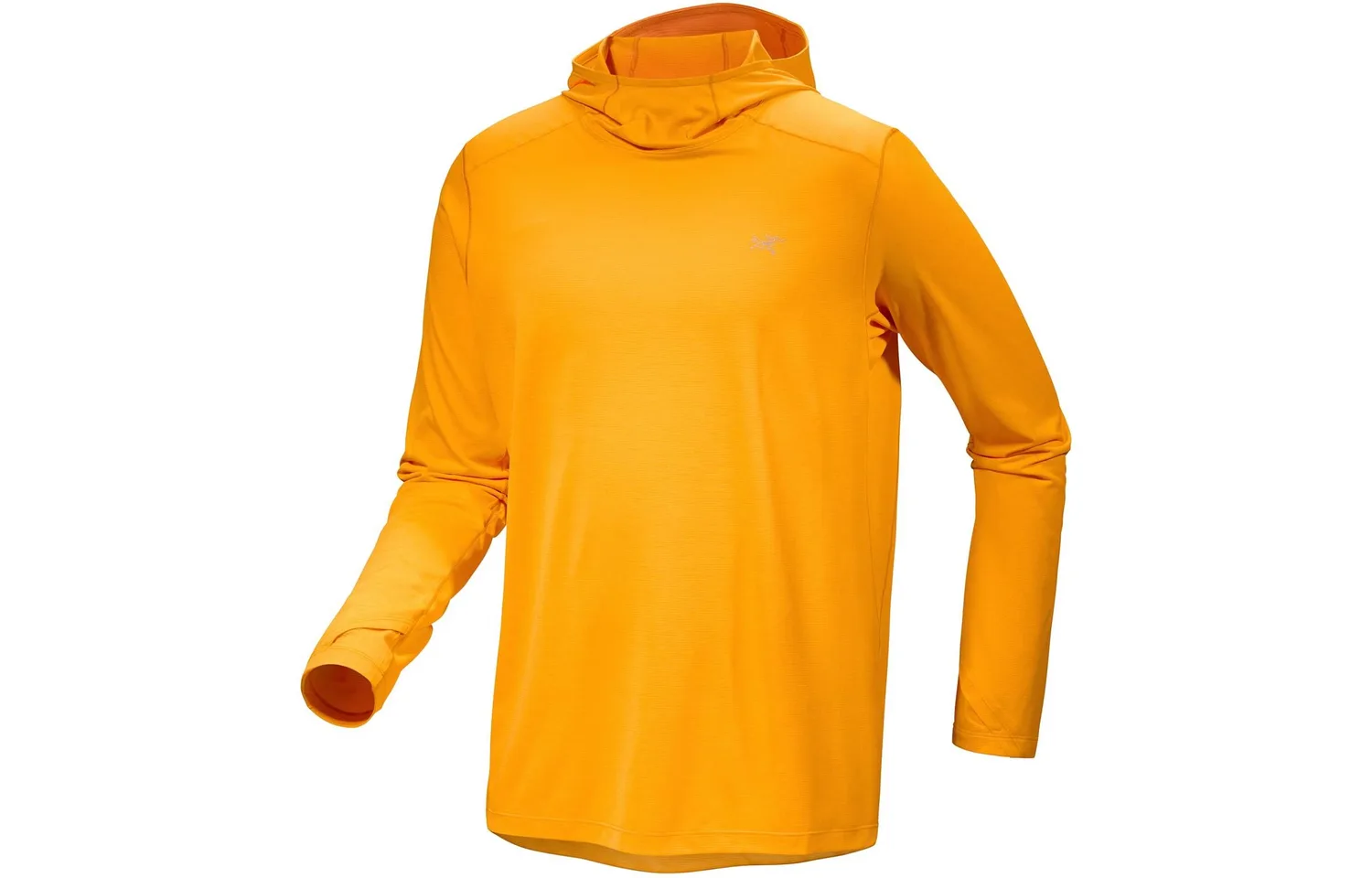 Футболка мужская CORMAC HOODY Quick Dry Arcteryx, Sapphire Blue Gray/Black Sapphire Heather — фото 3