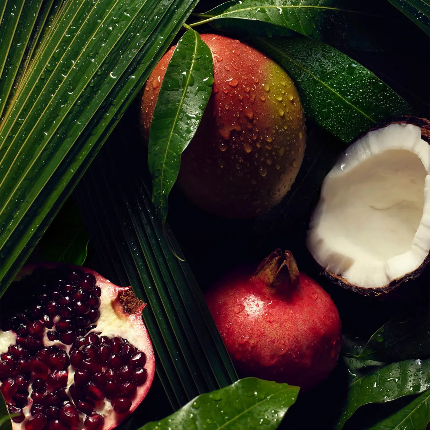Nutriplenish Шампунь для глубокого увлажнения 50 мл Aveda — фото 3