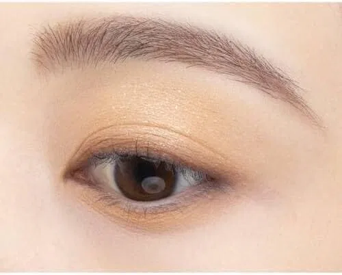 Тени для век Cezanne Bittertone Eye Shadow 03 Biscuit Brown — фото 3