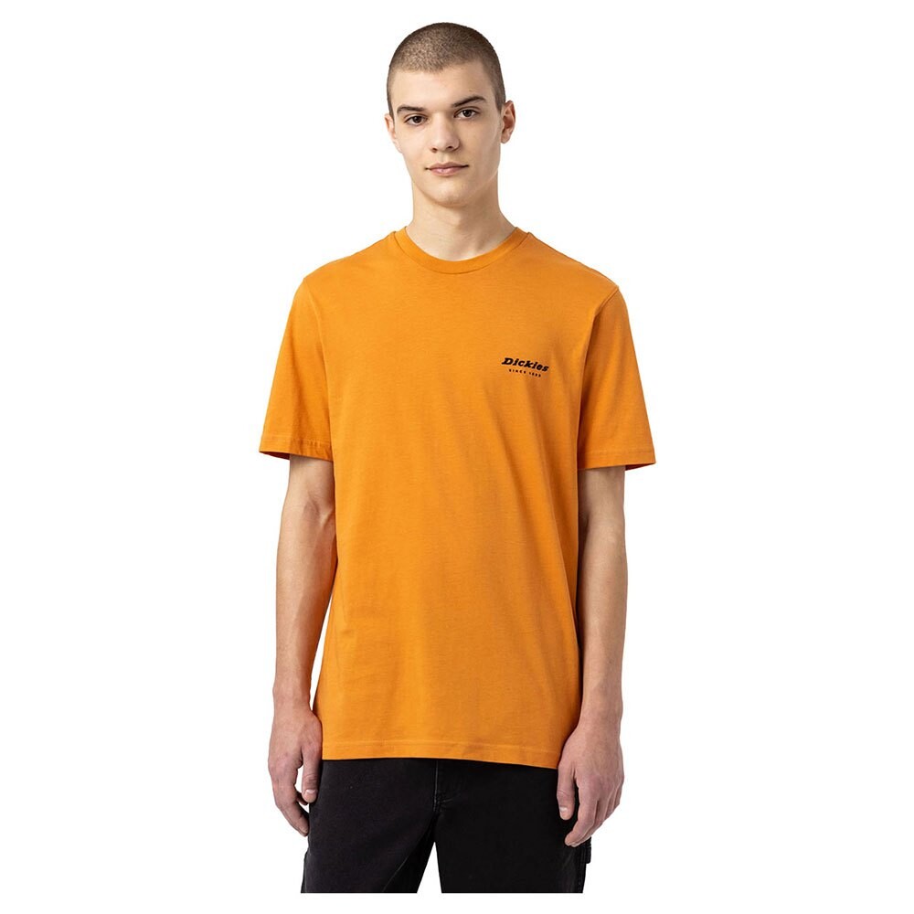 

Футболка с коротким рукавом Dickies Artondale Box, желтый