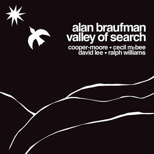 

CD диск Braufman, Alan: Valley Of Search