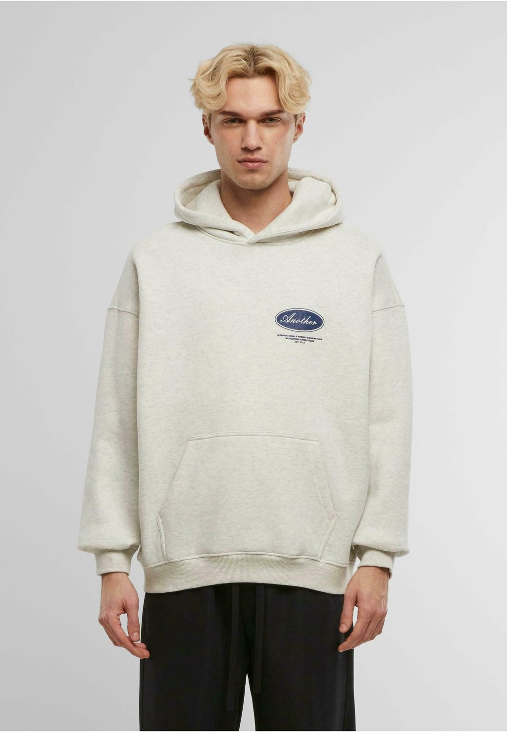 

Толстовка Hoodie Another Cotton Lab, серый
