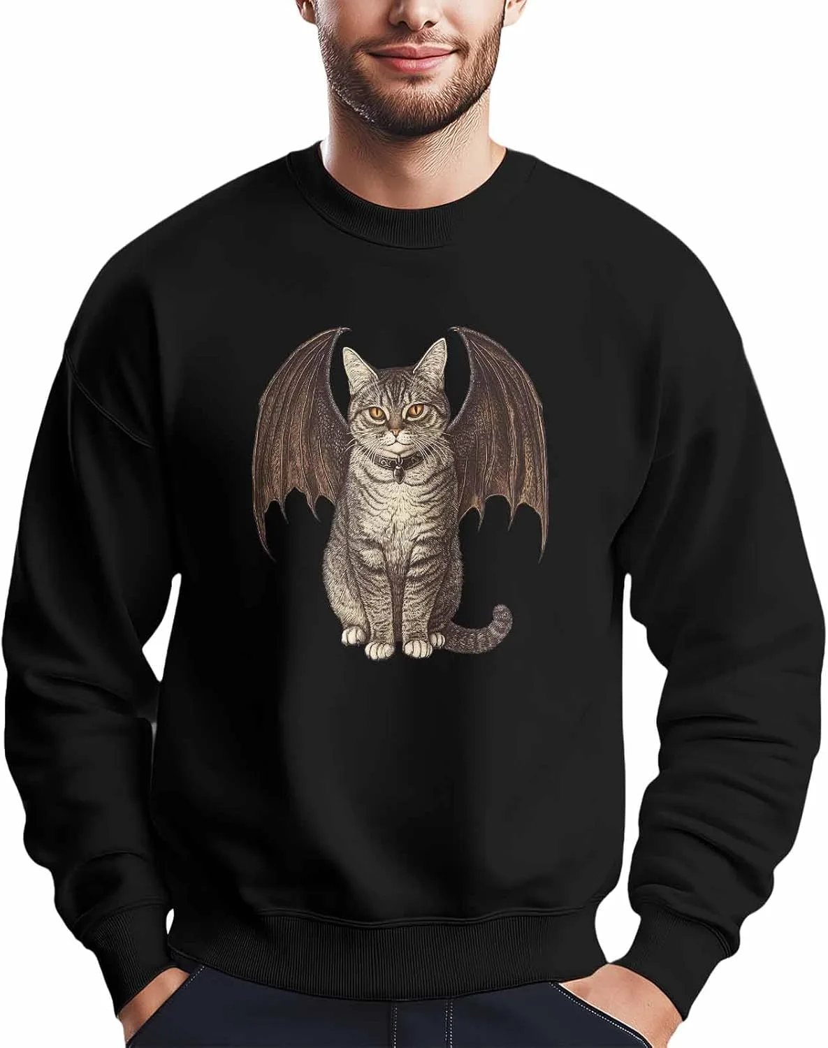 

Мужской свитшот с принтом "Кот с крыльями" Winvebermior