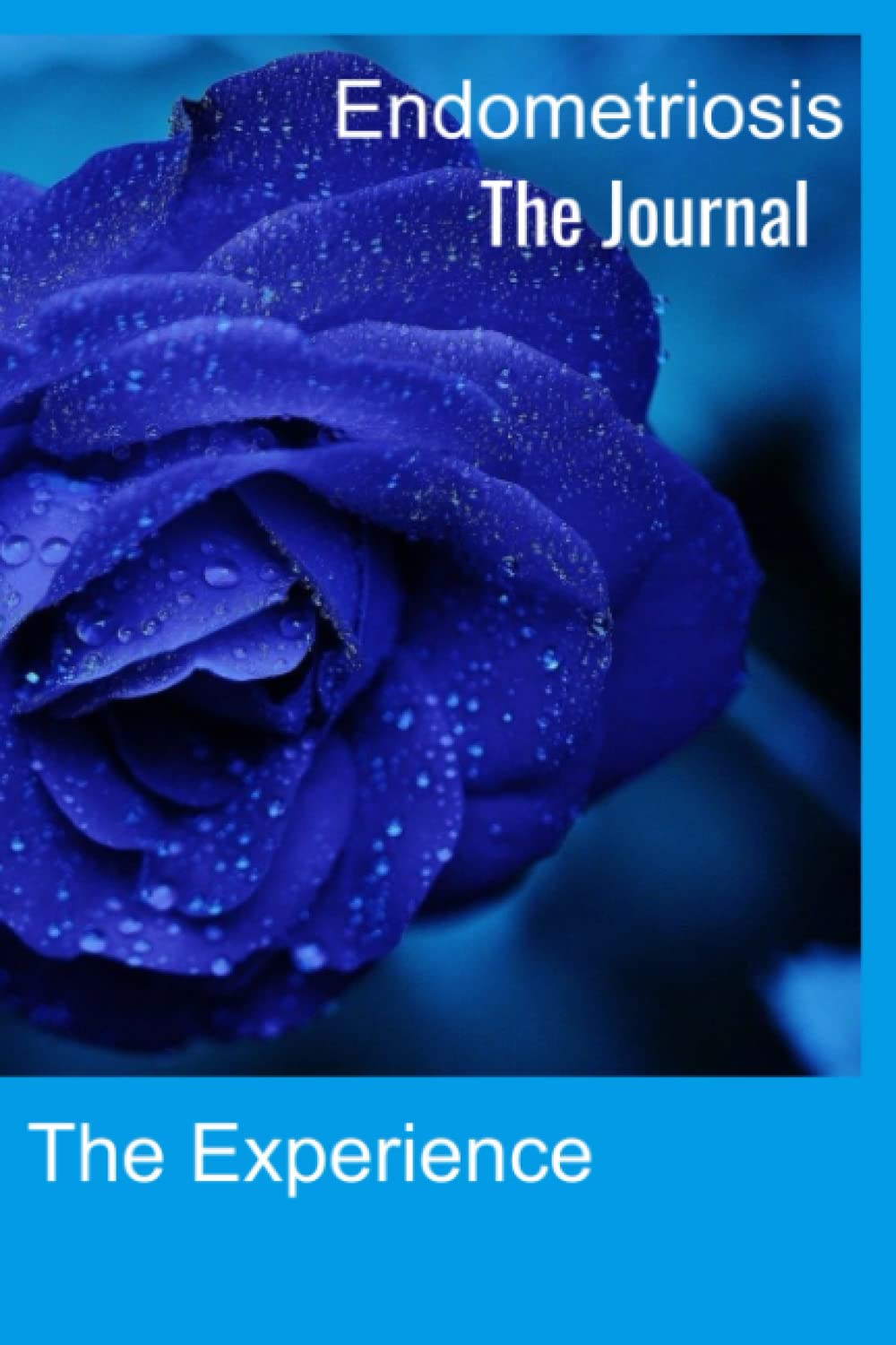 

Endometriosis Journal (Independently published)