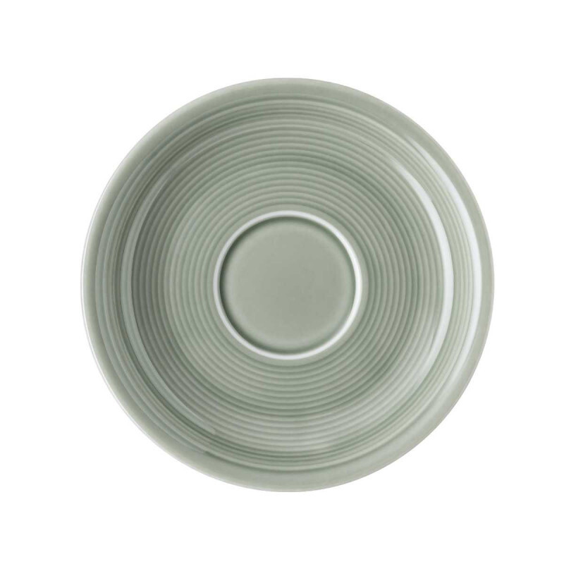 

Кофейное блюдце Trend Color Moss Green 14 см Thomas, зеленый