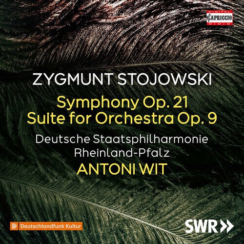 

CD диск Stojowski / Witt: Symphony 21