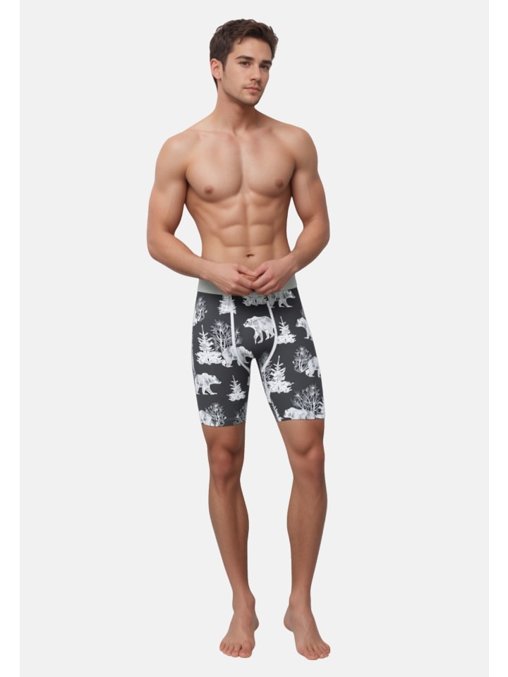 

PSD underwear Разноцветные боксерские трусы 'BEAR CHILL'