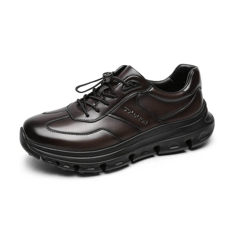 Кроссовки мужские Lifestyle Shoes Men Low-Top Goldlion, черный — фото 2