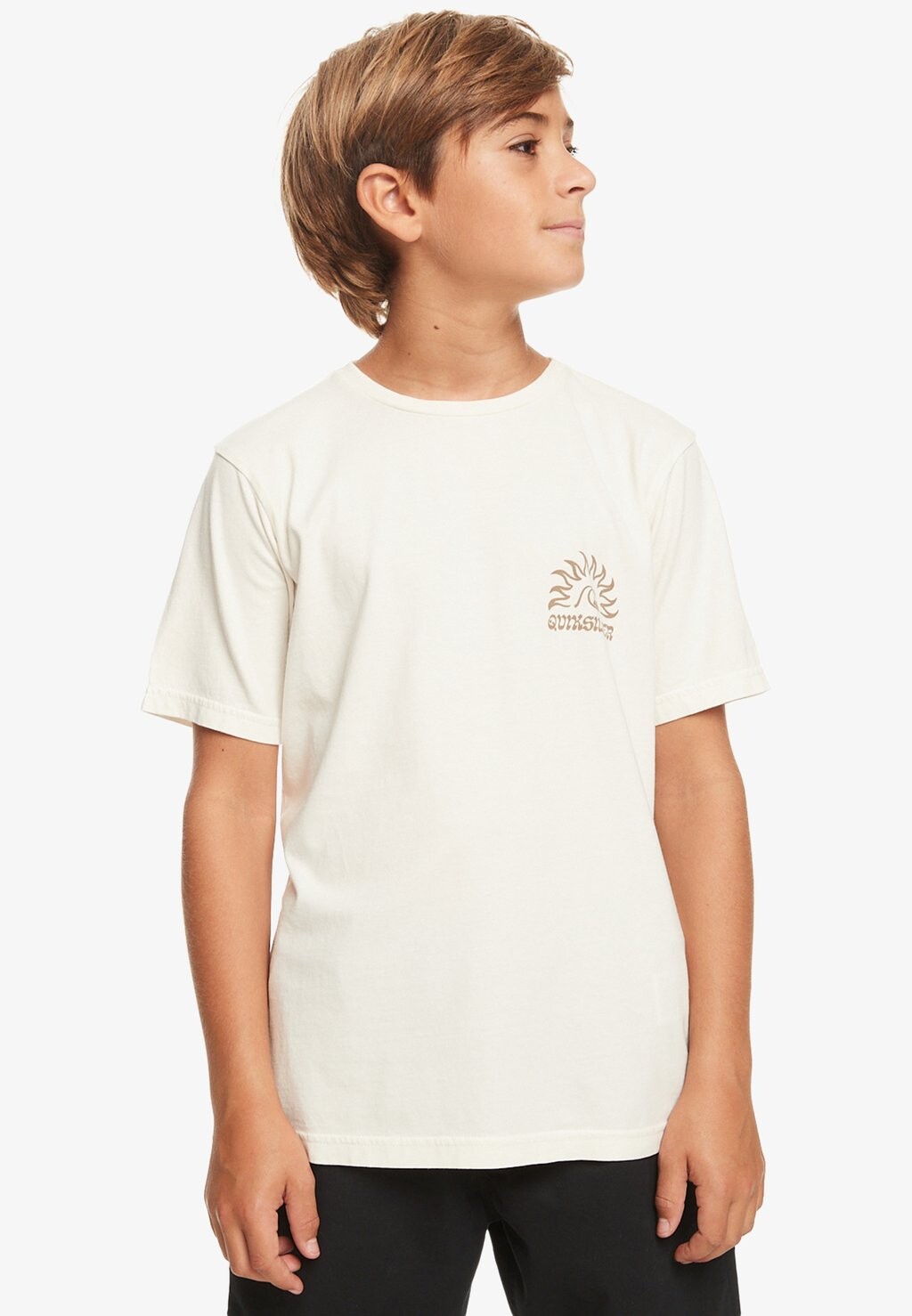 

Футболка с принтом EARTHY TYPE Quiksilver, белый
