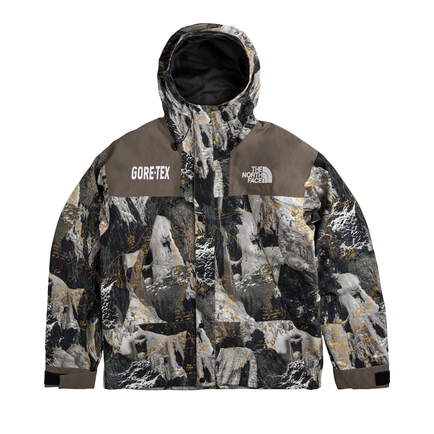 

Куртка The North Face GTX Mountain, цвет Коричневый сокола, принт Conrads Notes