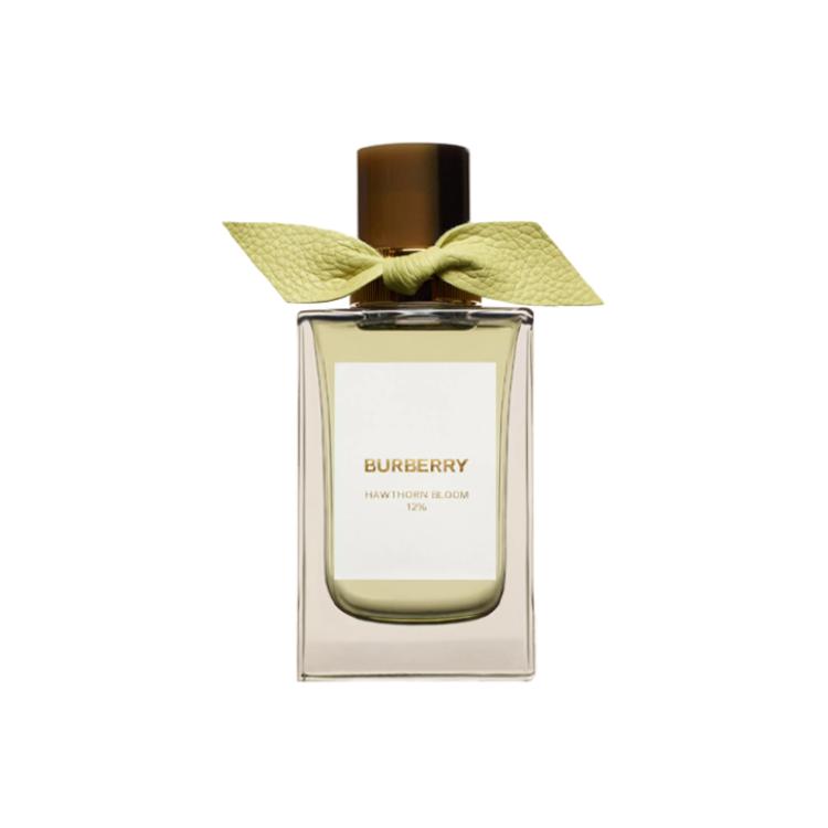 Высококачественные парфюмерные ароматы унисекс Burberry — фото 2
