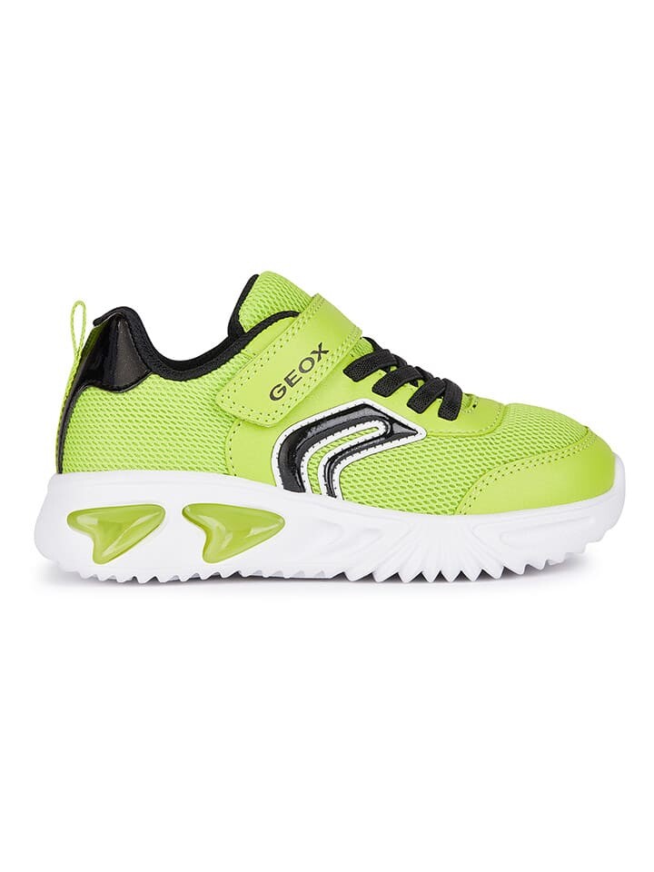 

Кроссовки на шнуровке Geox Sneakers Lights - Assister, цвет Limette