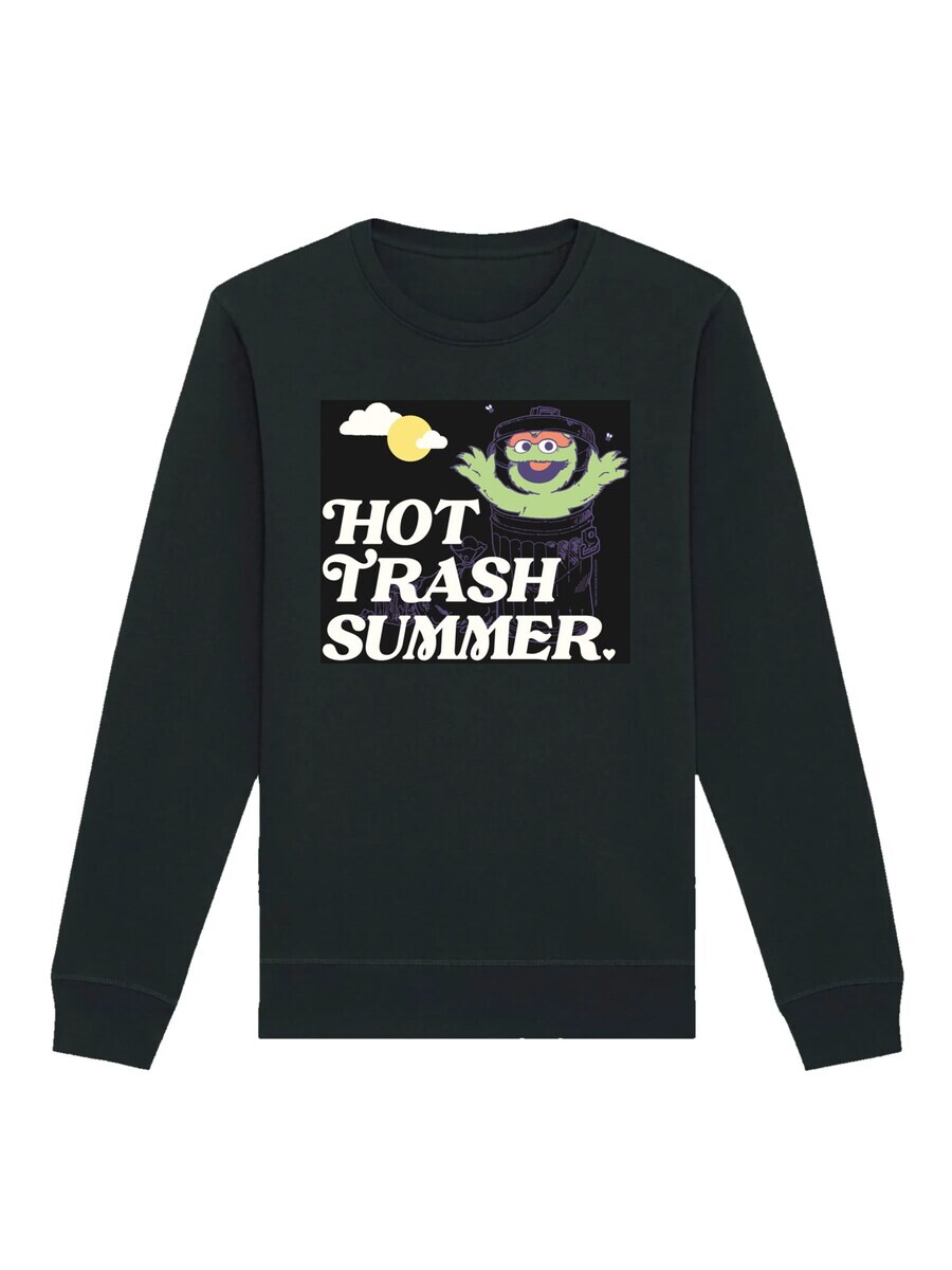 

Свитер F4NT4STIC Sweatshirt Sesamstraße Hot Trash, черный