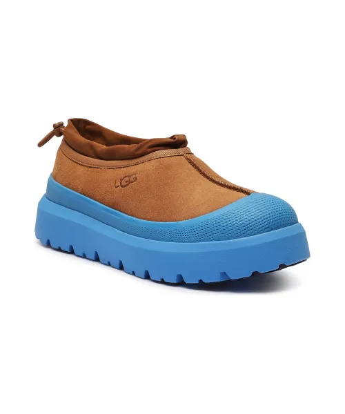 

Зимние ботинки Tasman из кожи Ugg, коричневый