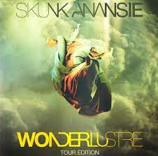 

Виниловая пластинка Skunk Anansie - Wonderlustre