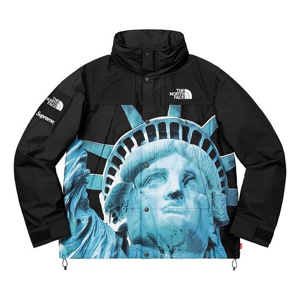 

Куртка Supreme FW19 Week 10 x The North Face Statue of Liberty Mountain Jacket Black SUP-FW19-905, черный