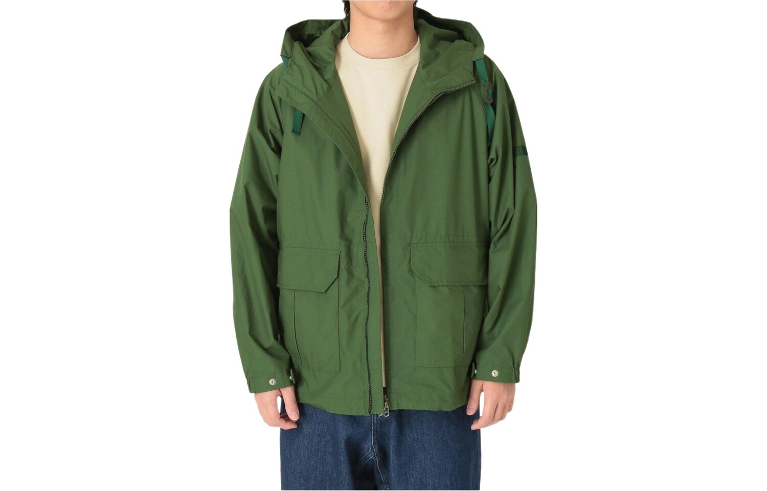 

Ветровка мужская зеленый The North Face Purple Label