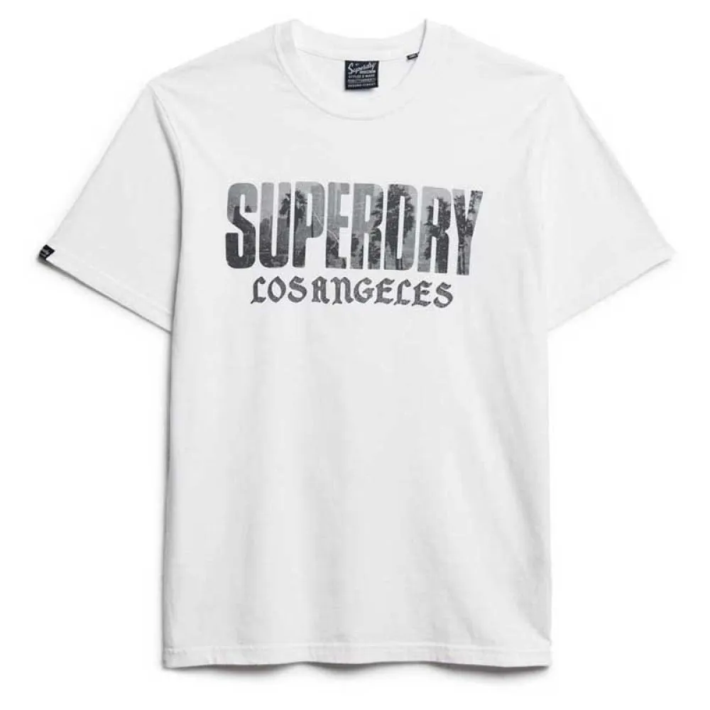 

Футболка Superdry Photographic Skate Loose, белый