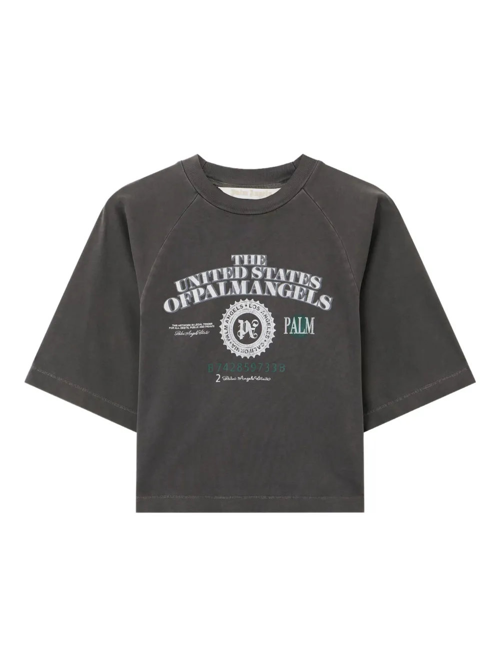 

Футболка с принтом в виде долларов Palm Angels, серый