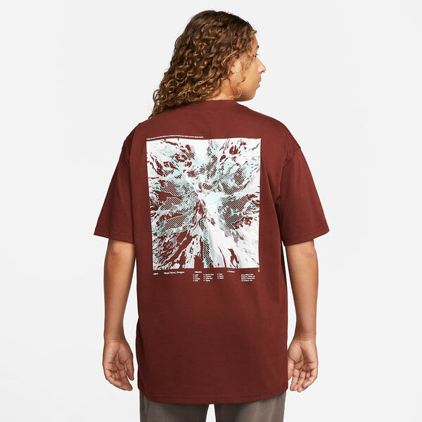 Футболка Nike ACG NRG Glacier T-Shirt 'Oxen Brown', коричневый — фото 4