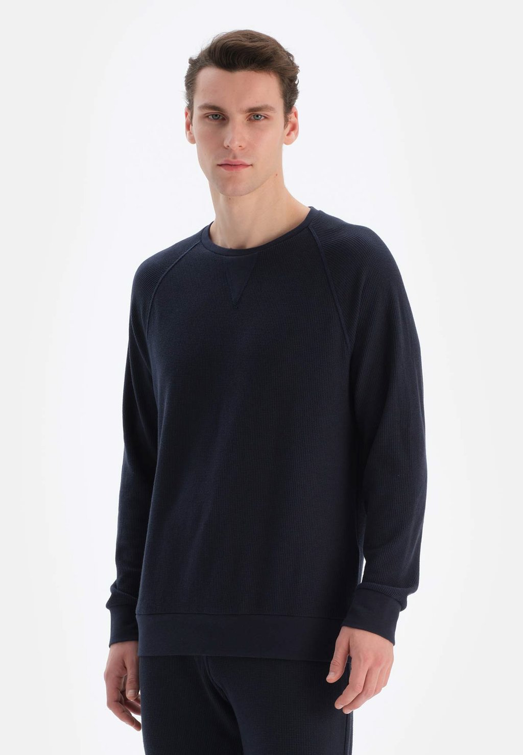 

Толстовка CREW NECK REGULAR DAGI, цвет black