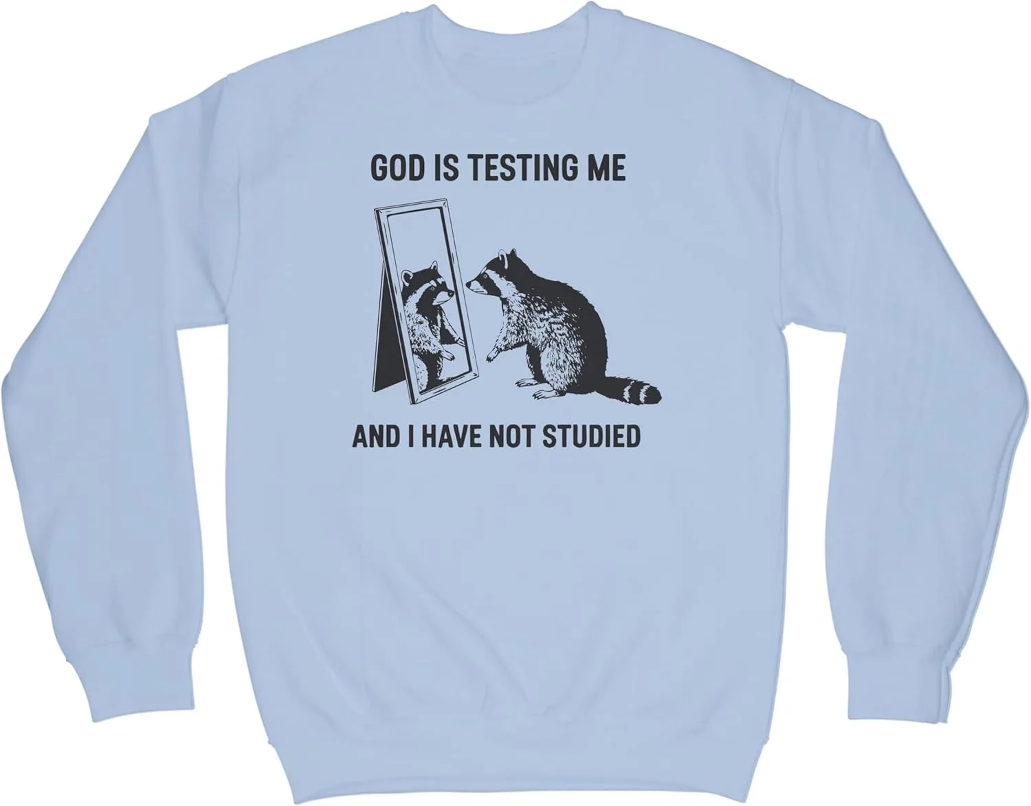 

LIBBY'S BENCHMARK27 DESIGNS God is Testing Me and I Have Not Studied Raccoon свитшот