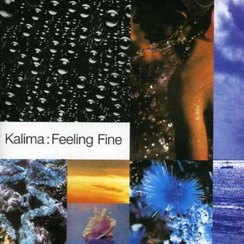 

CD диск Kalima: Feeling Fine: Singles