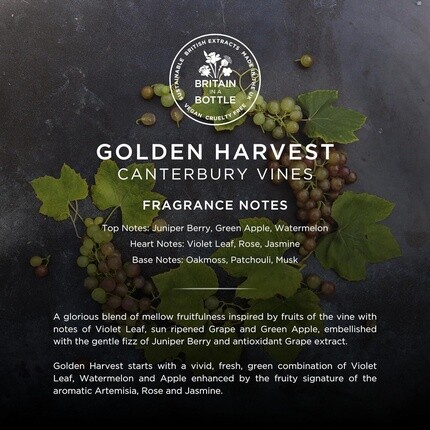 Noble Isle Golden Harvest Роскошный увлажняющий крем для тела 250 мл — фото 3