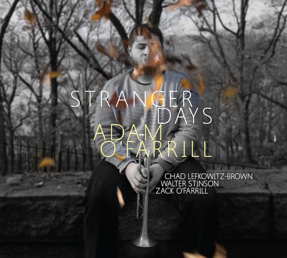 

Диск CD Stranger Days - Adam O'Farrill