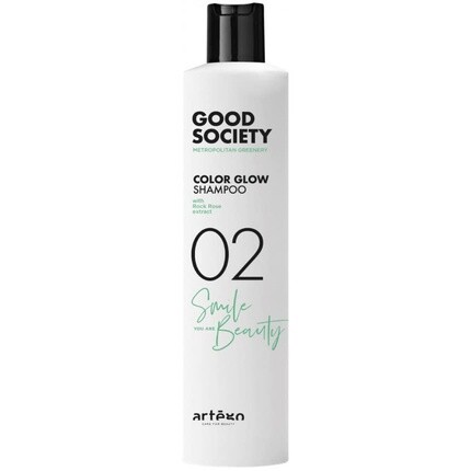 

Good Society Rich Color Шампунь 02 250мл, Artego