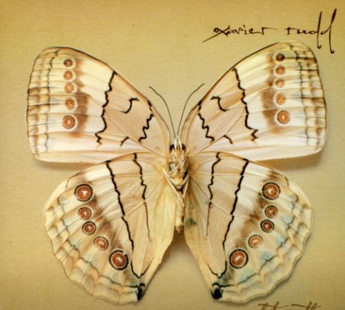 

CD диск Rudd, Xavier: White Moth