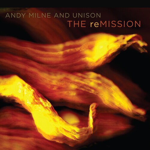 

CD диск Milne, Andy / Unison: The reMission