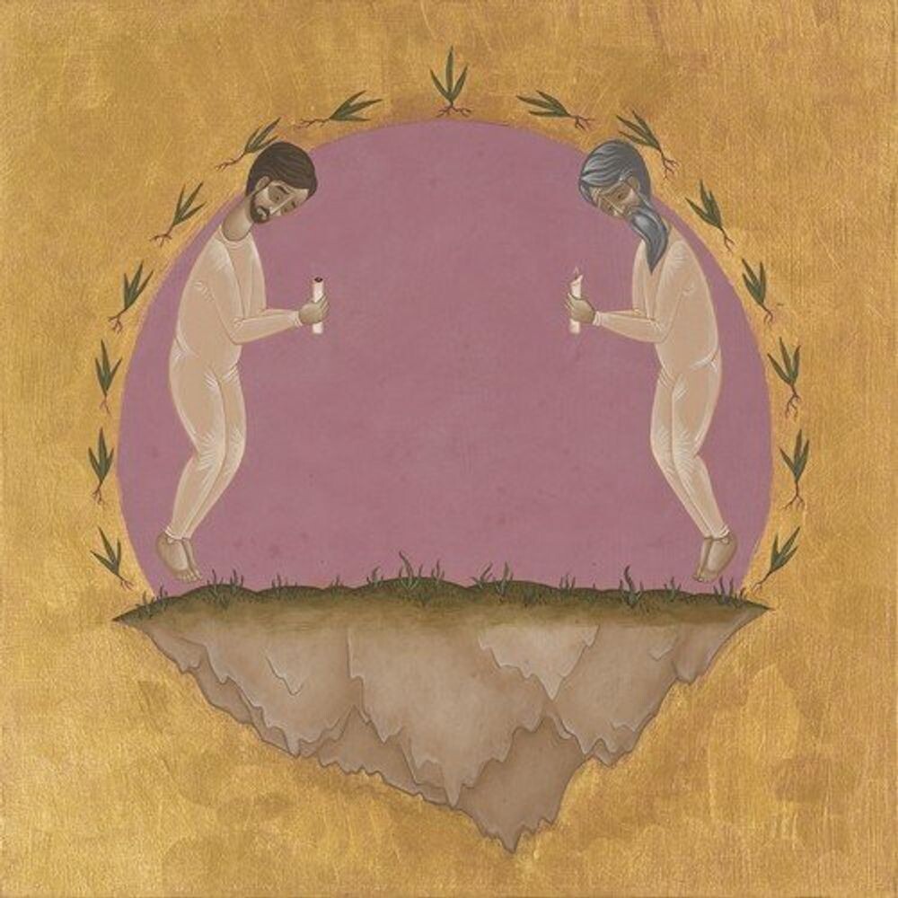 

Виниловая пластинка LP The Past Is Not A Flood - Hospital Ships