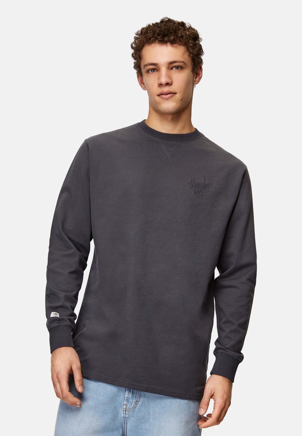

Толстовка LONG SLEEVE FRENCH TERRY SIGNATURE Honesty Rules, темно-серый