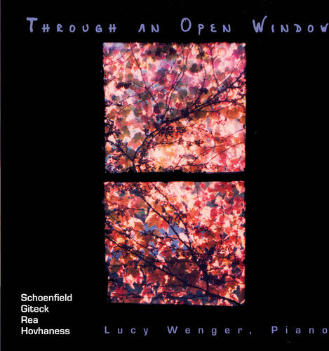 

CD диск Wenger, Lucy: Through An Open Window