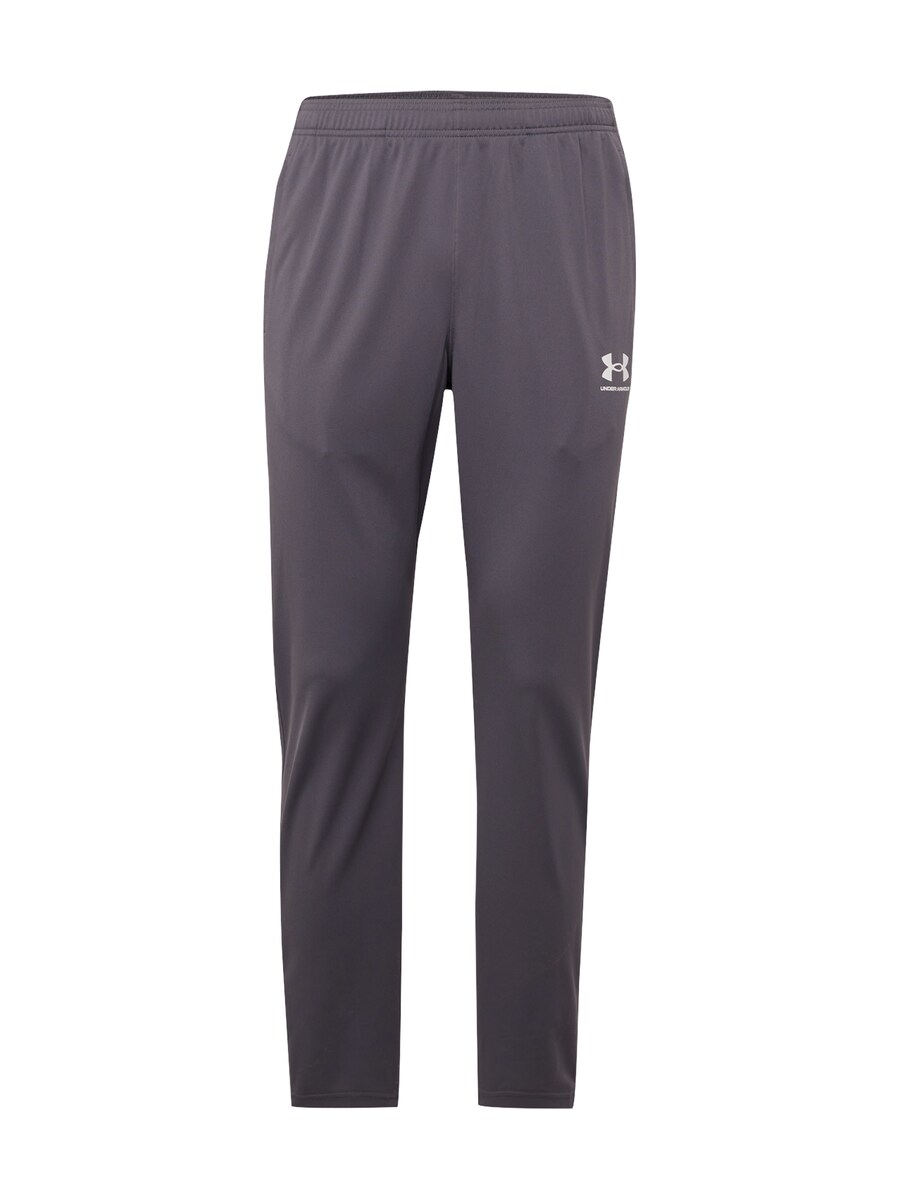 

Обычные тренировочные брюки UNDER ARMOUR, серый
