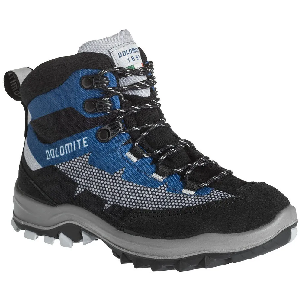 

Походные ботинки Dolomite Steinbock WT Goretex, синий