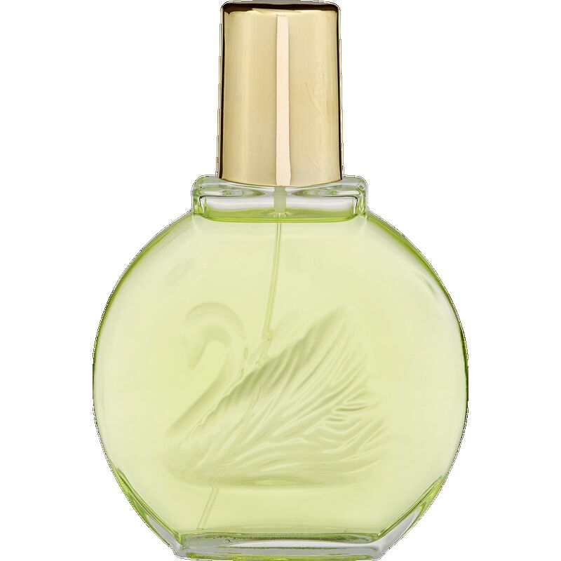 

Jardin À New York, EdP 100 ml Vanderbilt