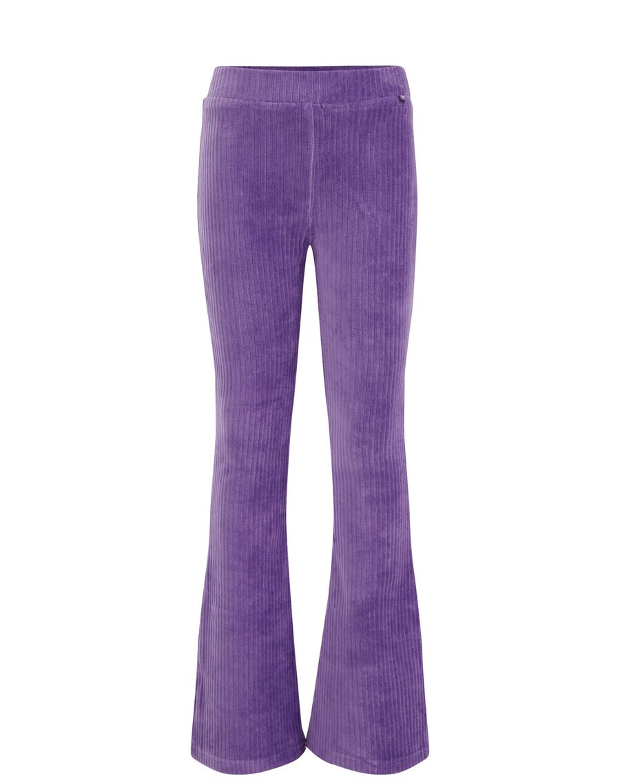 

Леггинсы WE Fashion Flared Leggings, фиолетовый