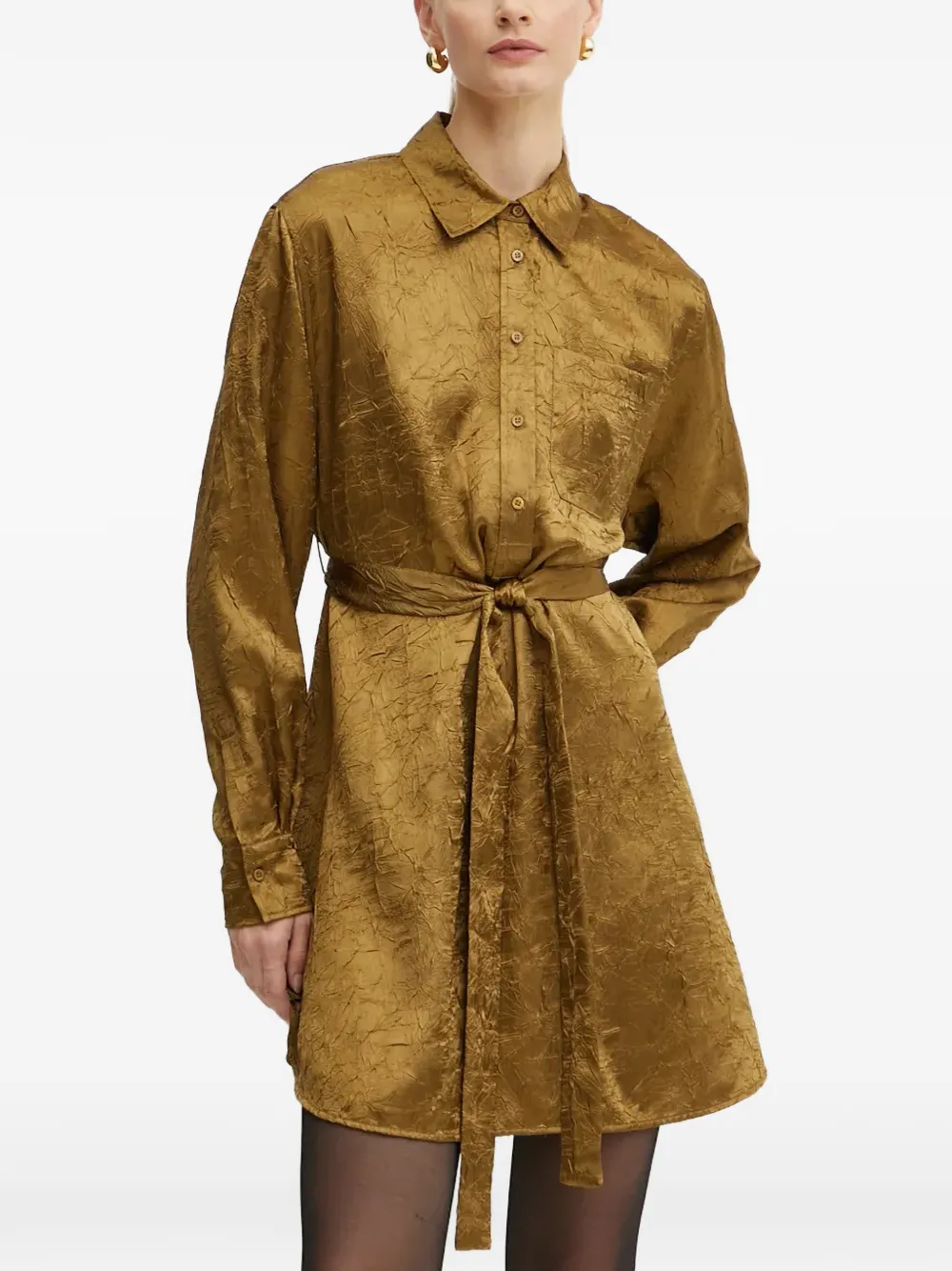 

Платье-рубашка мини с заостренным воротником и длинными рукавами Pinko, зеленый