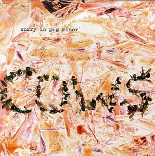 

CD диск Cows: Sorry in Pig Minor